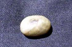 The small stone that Alex picked up on Ellis Island on the day he arrived in the U. S. (1.5" x 1.5")